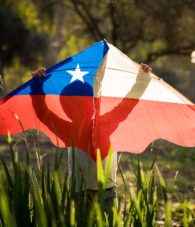 Canasta Mimbre para Picnic, Fiestas Patrias y Volantines